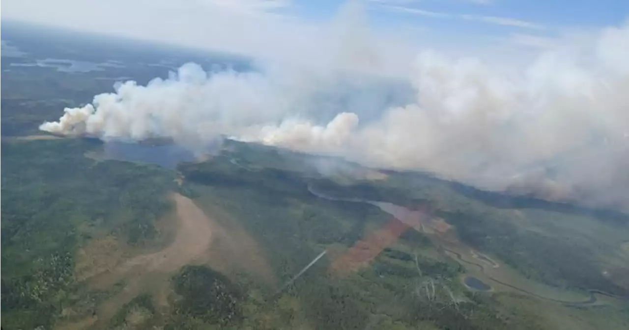 Ontario seeing more forest fires amid unprecedented season across Canada | Globalnews.ca