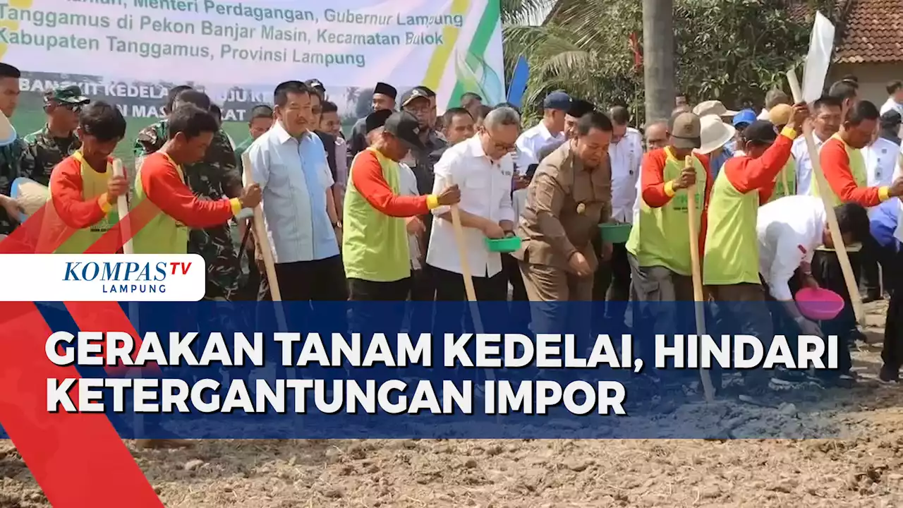 Gerakan Tanam Kedelai Demi Tingkatkan Hasil Produksi