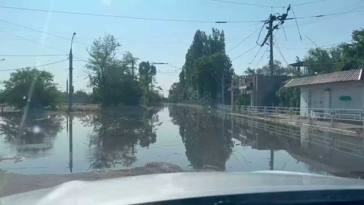 A Kherson, l'activité agricole en partie impactée par les inondations