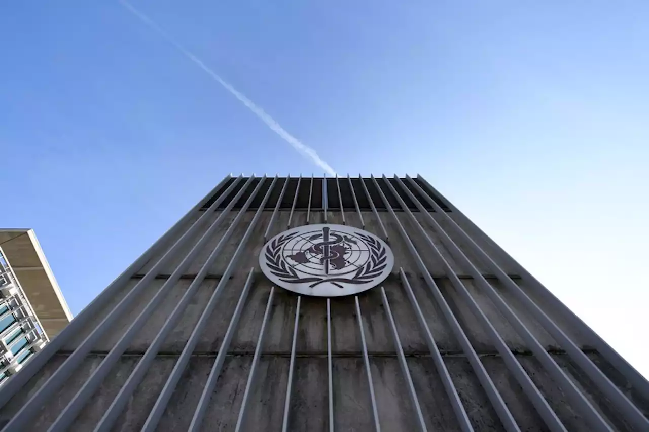 WHO to seek global certificate system, inspired by EU's Covid pass
