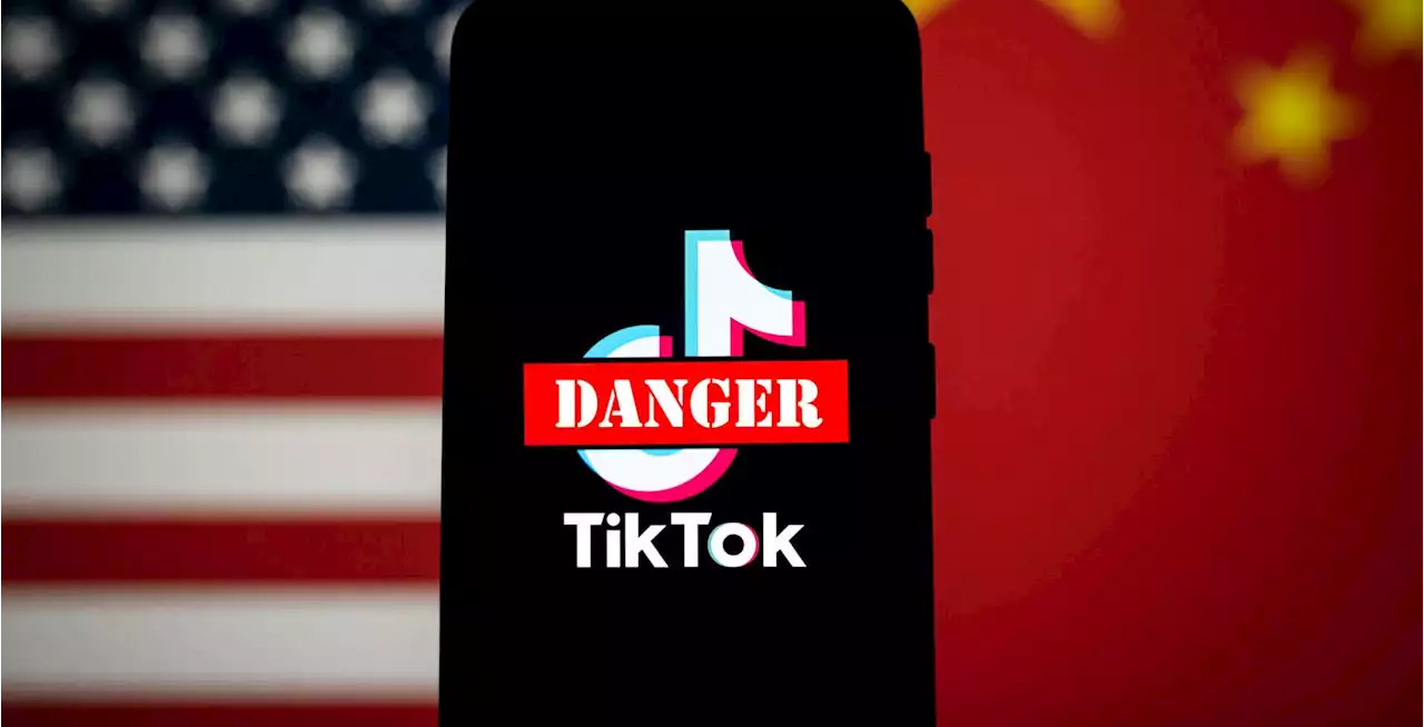 US government's TikTok ban extended to include contractors