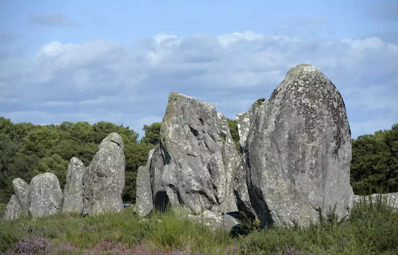 A Carnac, 39 menhirs détruits pour construire un magasin de bricolage