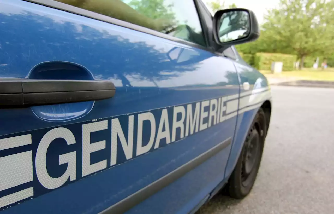 Des suspects interpellés après une violente agression dans le Vaucluse