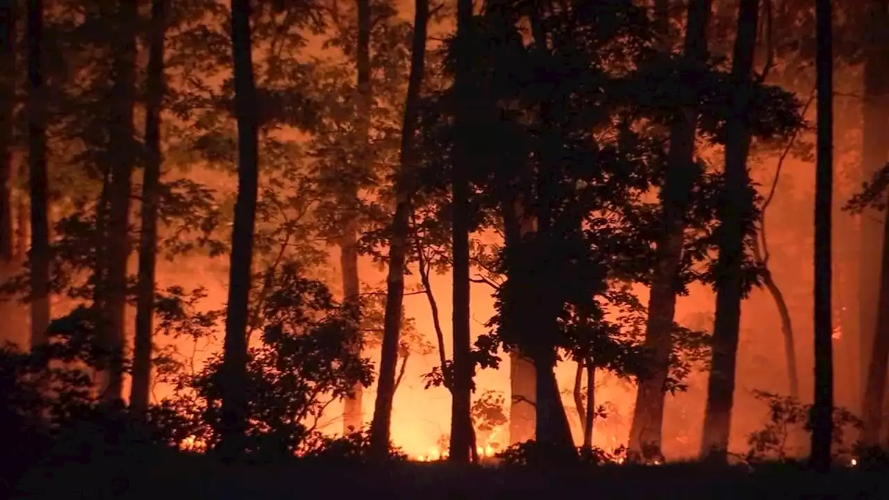 NJ Forest Service: Jackson Twp. wildfire now 70% contained, 15 structures threatened