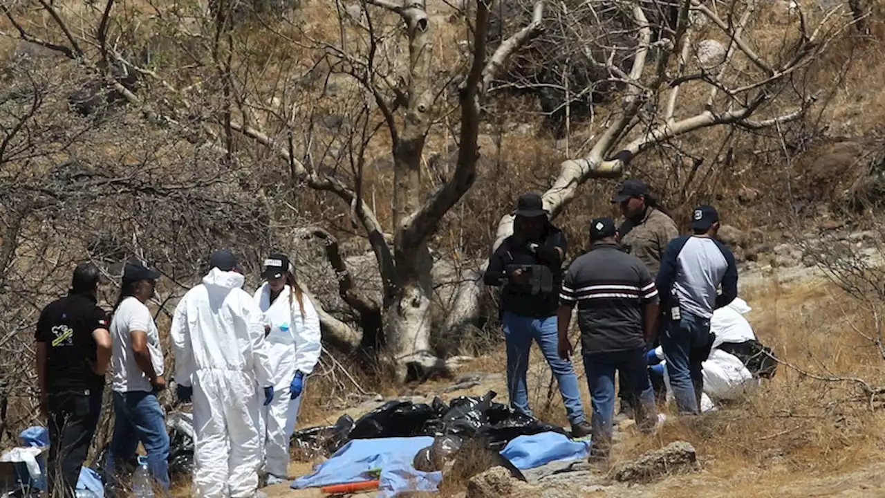 Human remains found in bags are missing call centre staff, Mexican authorities confirmed