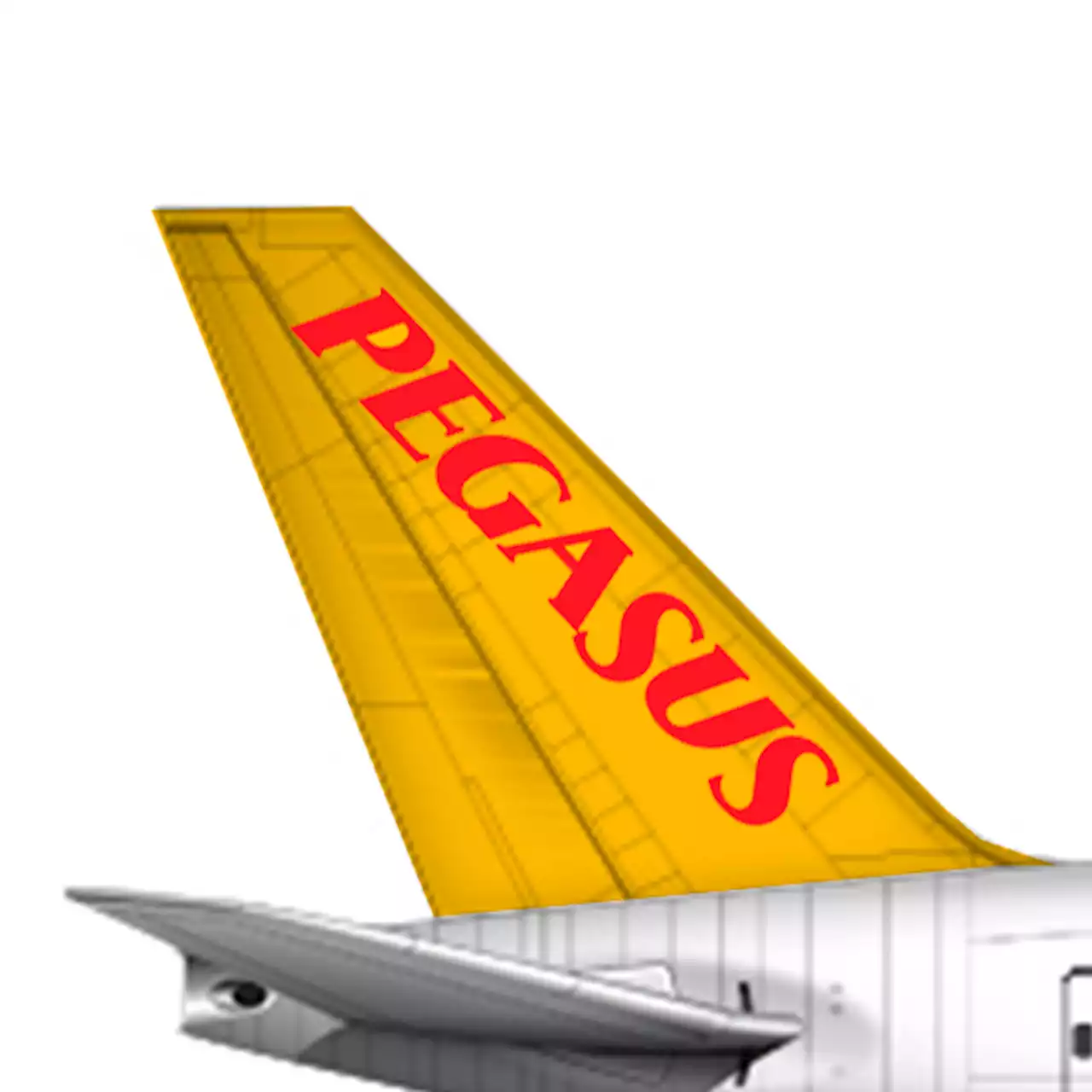 Pegasus Airlines plant Ausbau der Frequenzen nach Deutschland - aeroTELEGRAPH