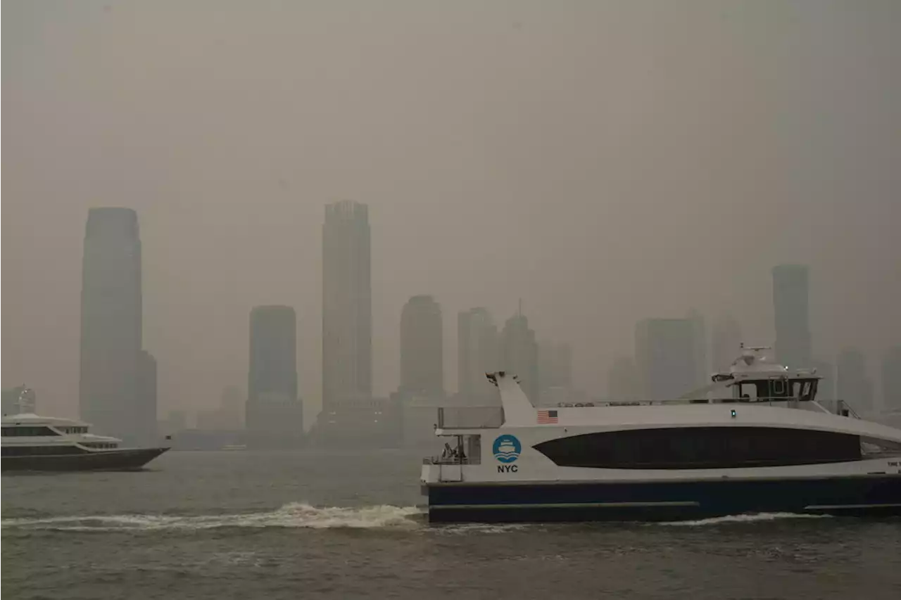 NYC students encouraged to attend school Wednesday despite wildfire smoke conditions: NYC officials | amNewYork