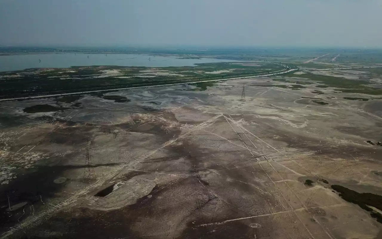 Parque Ecológico en Lago de Texcoco lleva avance del 65%