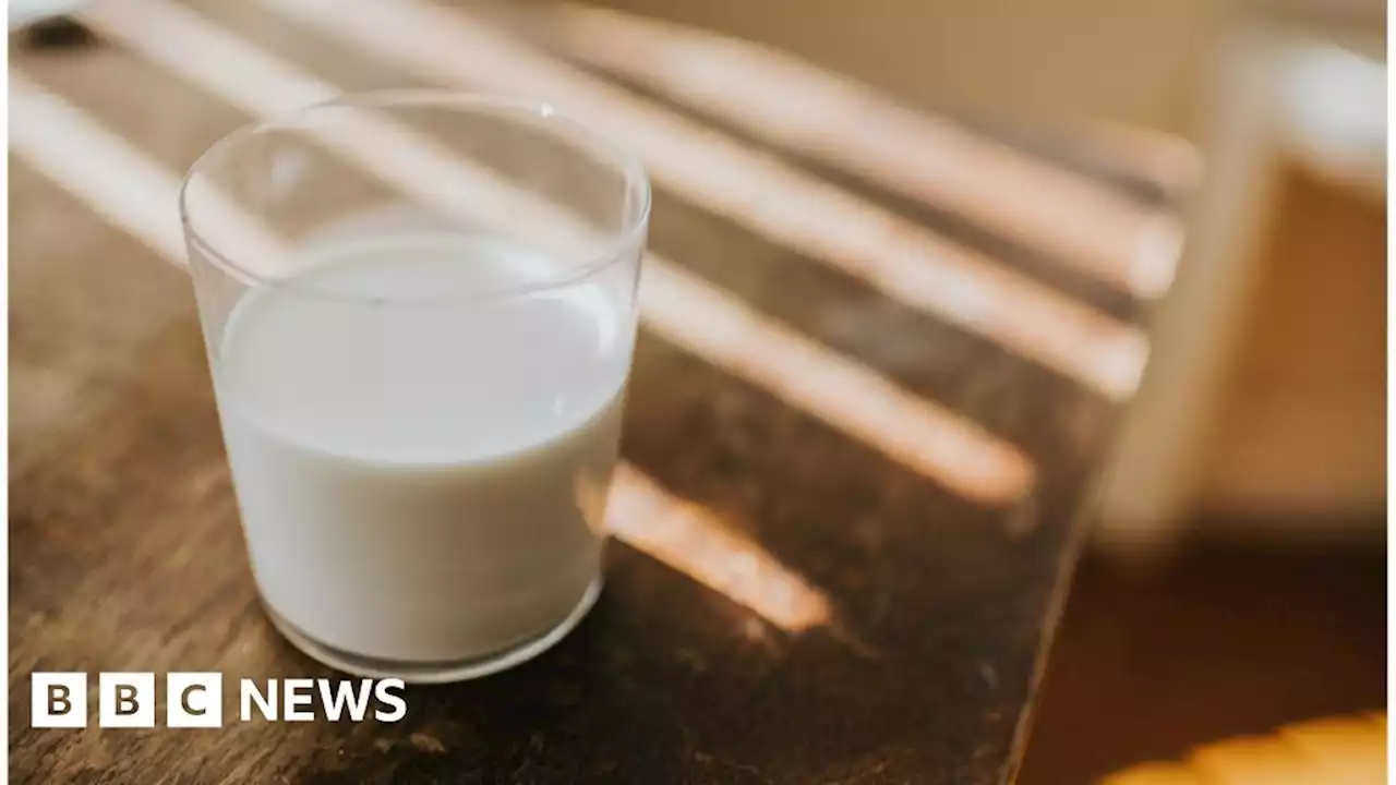 Marks & Spencer scraps milk use-by dates to cut waste