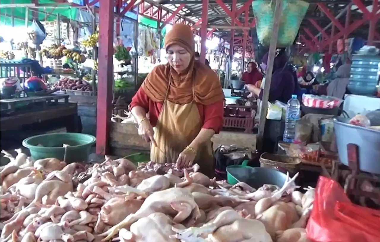 Harga Daging Ayam di Seruyan Bikin Emak-emak Nangis