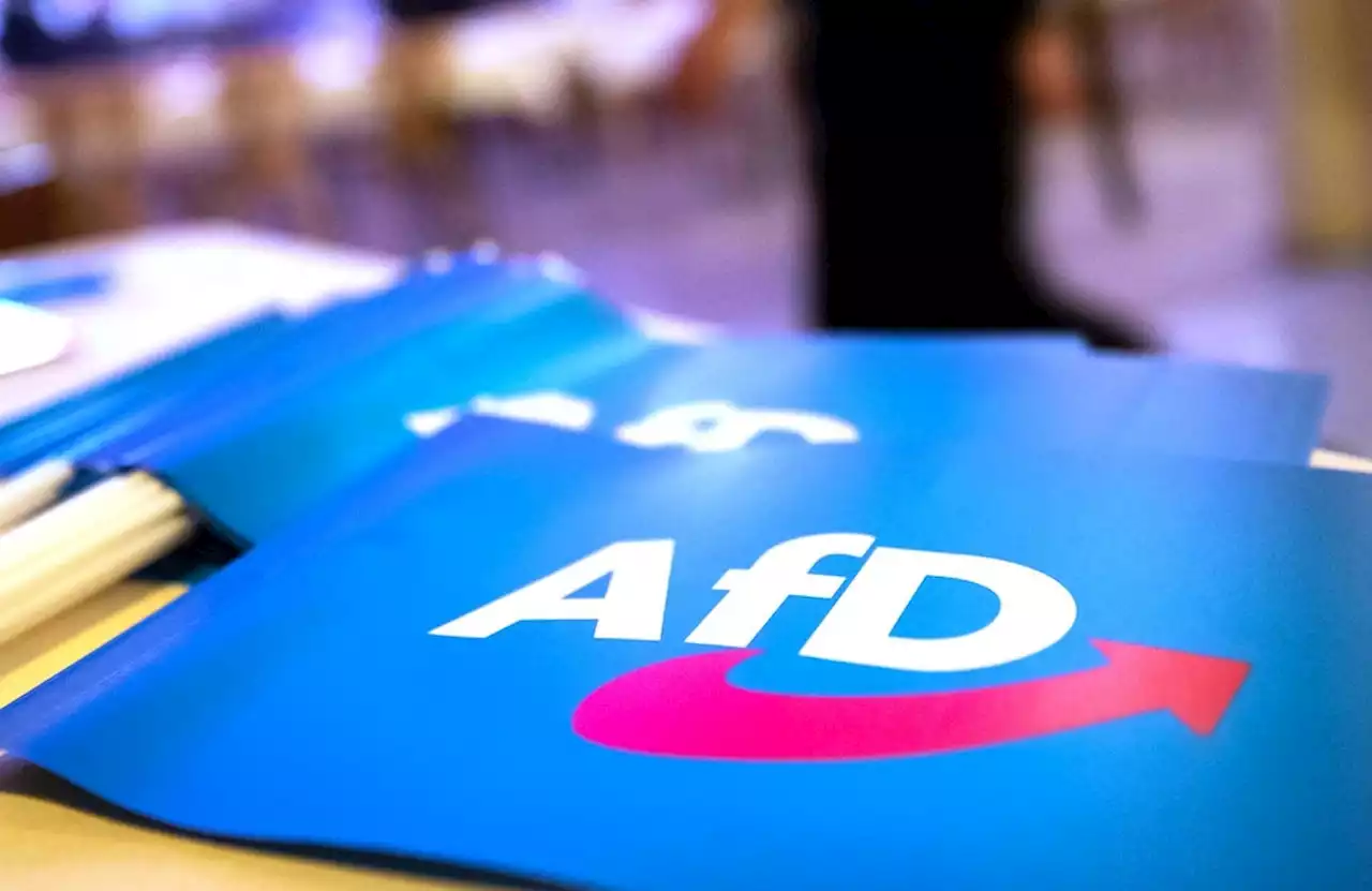 Menschenrechtler: Voraussetzungen für AfD-Verbot sind erfüllt