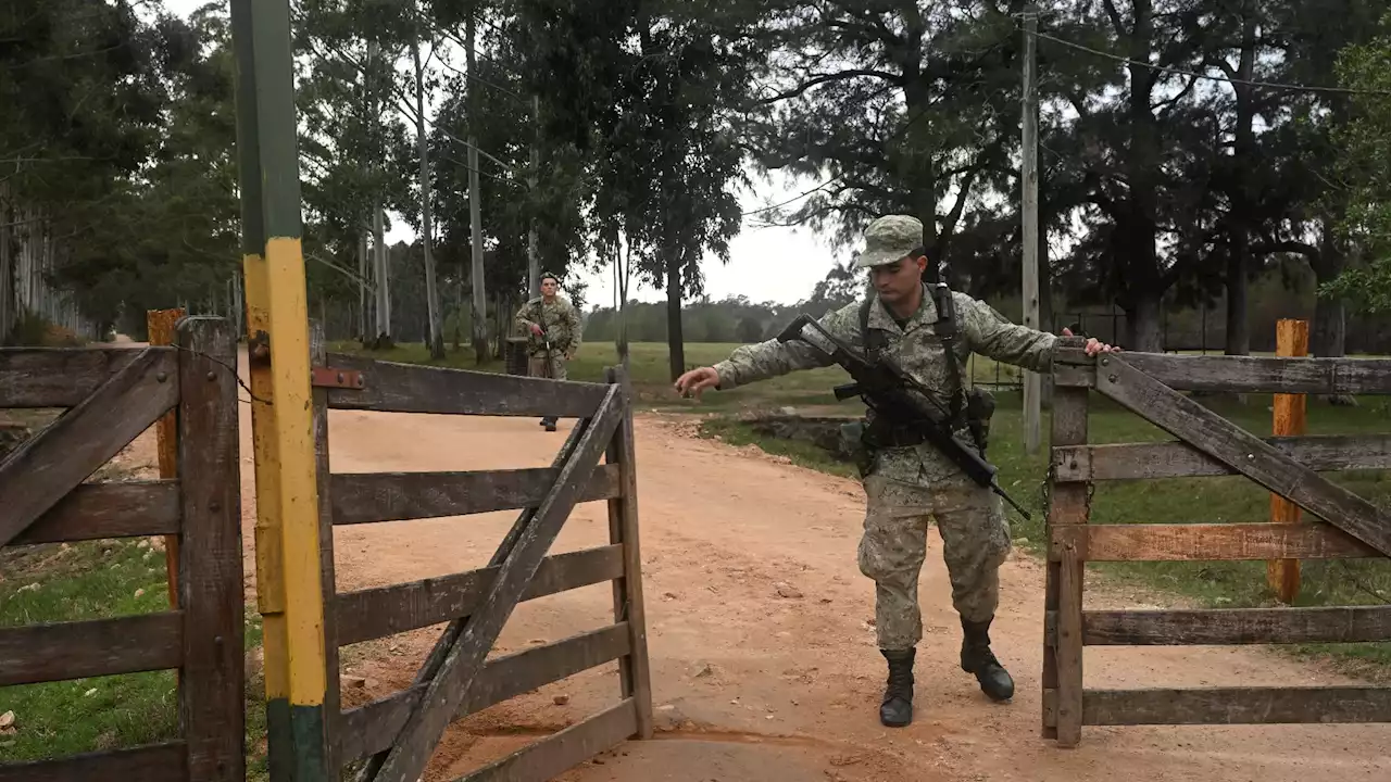 Uruguay: des restes humains retrouvés dans une zone militaire près de 40 ans après la dictature