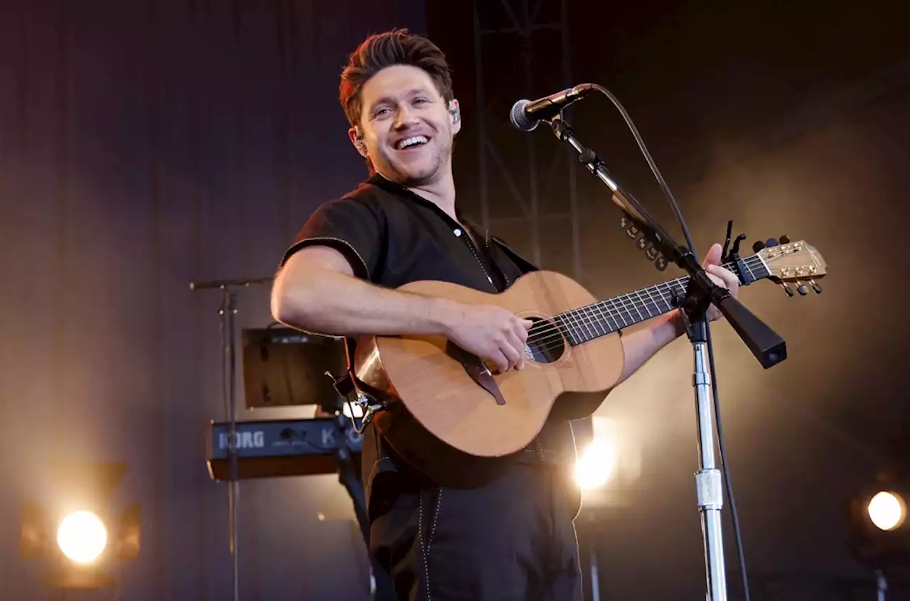 Niall Horan Says One Direction Reunion Conversation ‘Hasn’t Happened’ Yet