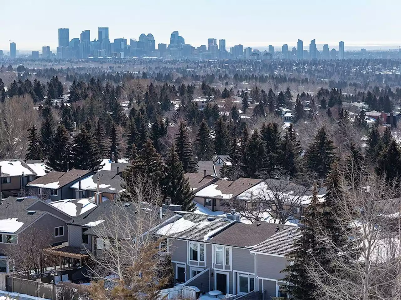 Calgary council rejects housing affordability task force recommendations