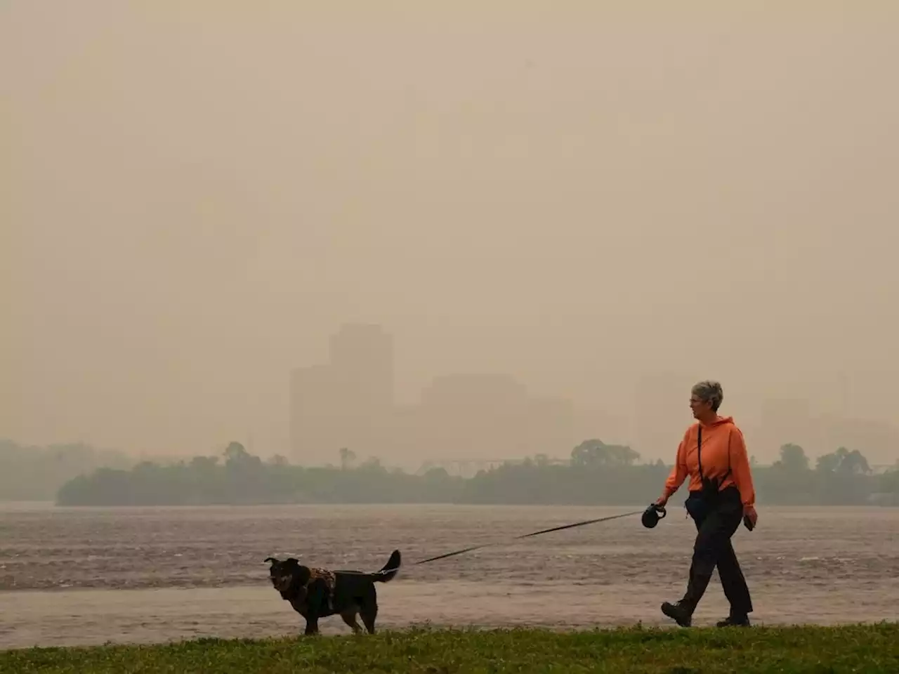 Wildfire smoke blankets Ontario, Quebec, air quality plummets, affects activities