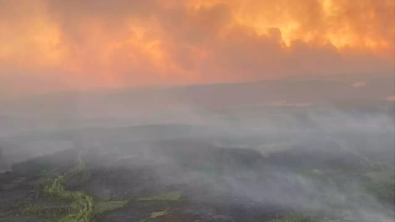 Reinforcements arriving to fight Quebec fires as premier warns of more evacuation orders | CBC News