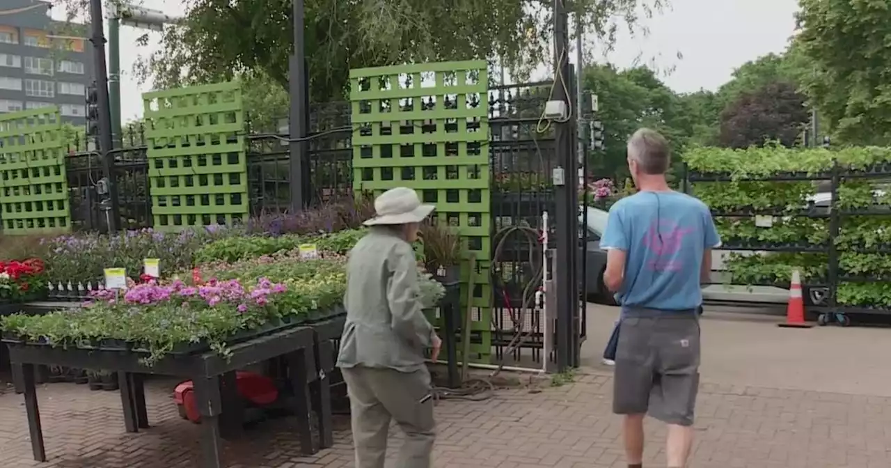 Chicagoans try to weather the moderate drought to keep things green