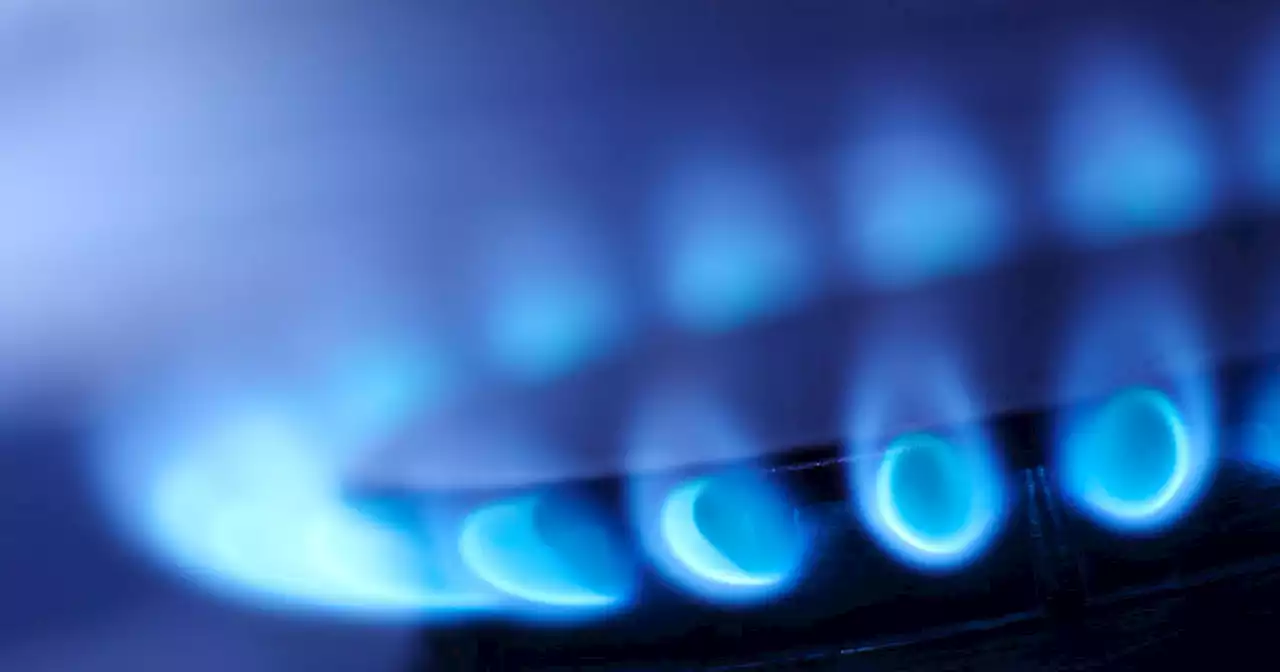 House GOP rules vote on gas stoves goes up in flames