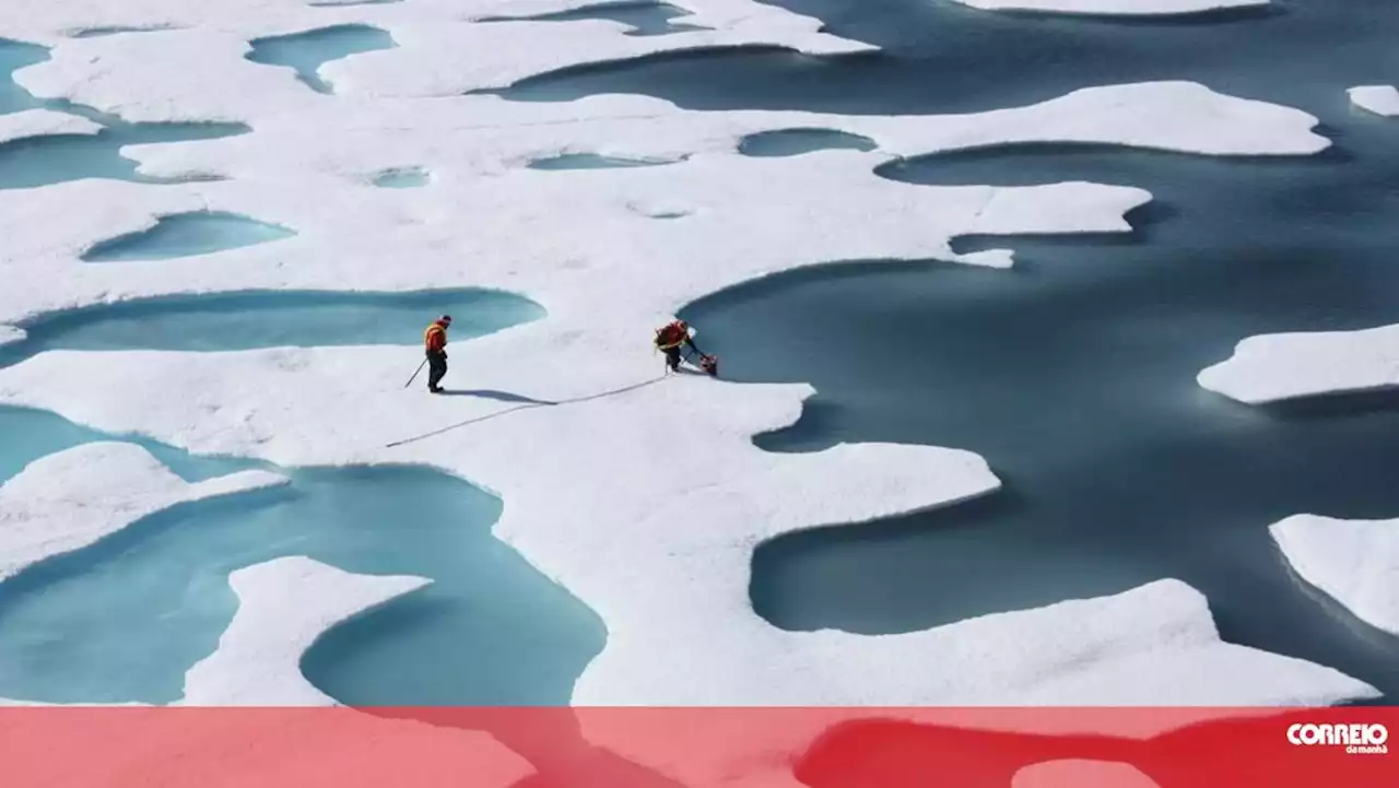 Oceano Ártico poderá ficar sem gelo no verão a partir de 2030