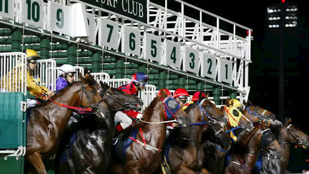 More than 180 years of horse racing in Singapore is coming to an end