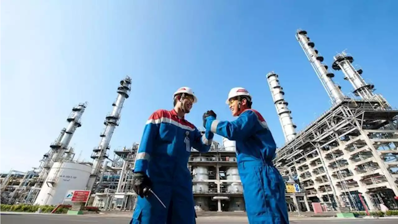 Wow! Kontribusi Pertamina buat Usaha Lokal Rp 22,30 Triliun