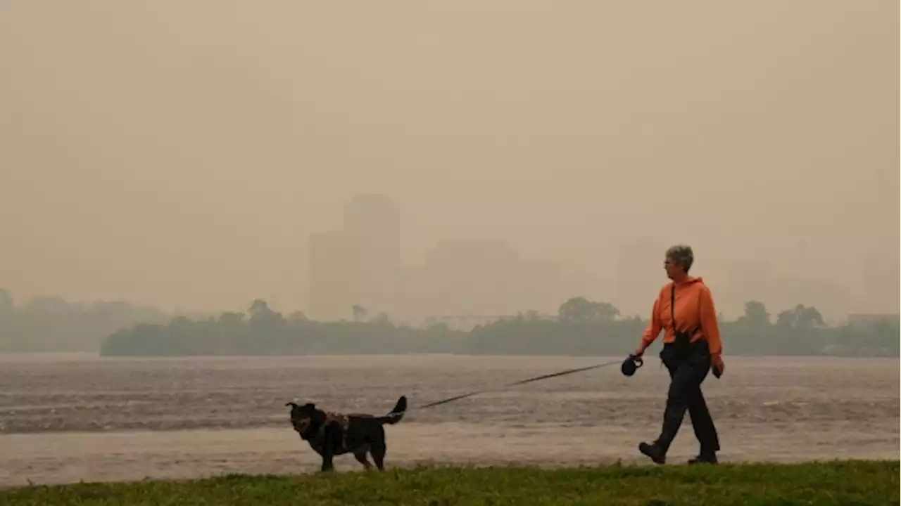 Canada marks Clean Air Day with worst air quality in the world as wildfires rage