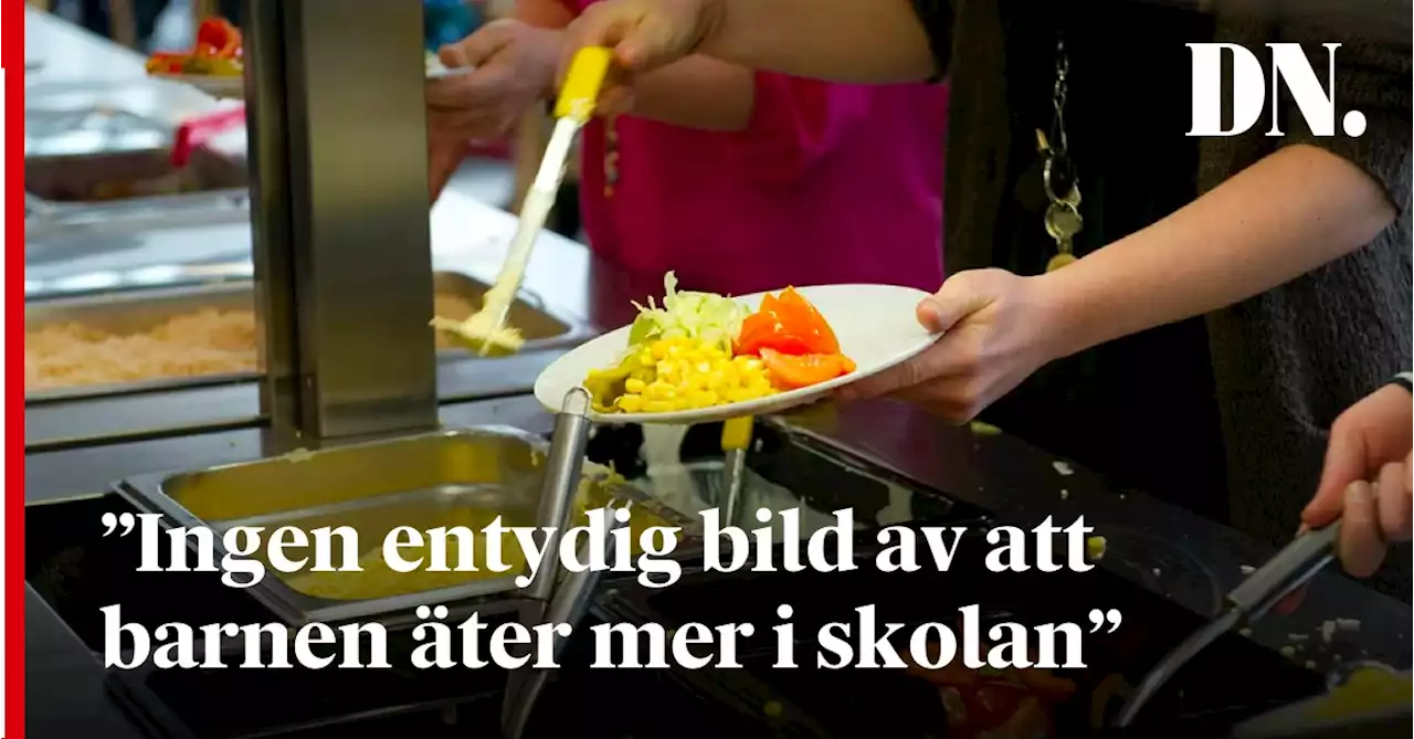 Efter debatten om hungrande barn: ”Ingen entydig bild av att barnen äter mer i skolan”