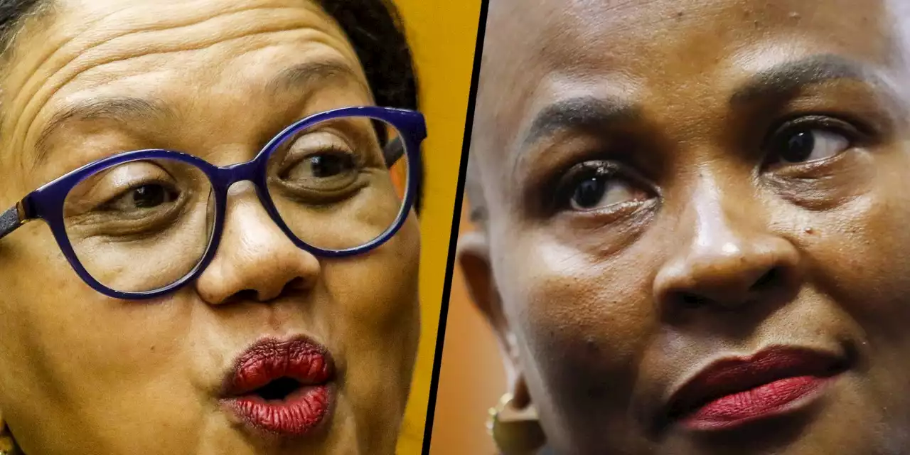 SECTION 194 INQUIRY: ‘Death’s door’ and rumour mongering — pop-up obstacles drain Mkhwebane impeachment inquiry