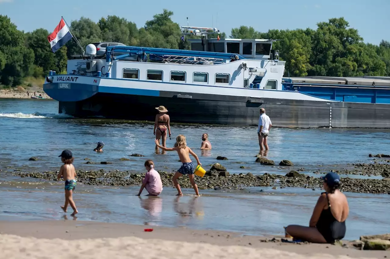 Schwimmen in Köln: In allen Seen verboten – aber die Rhein-Regelung verwundert