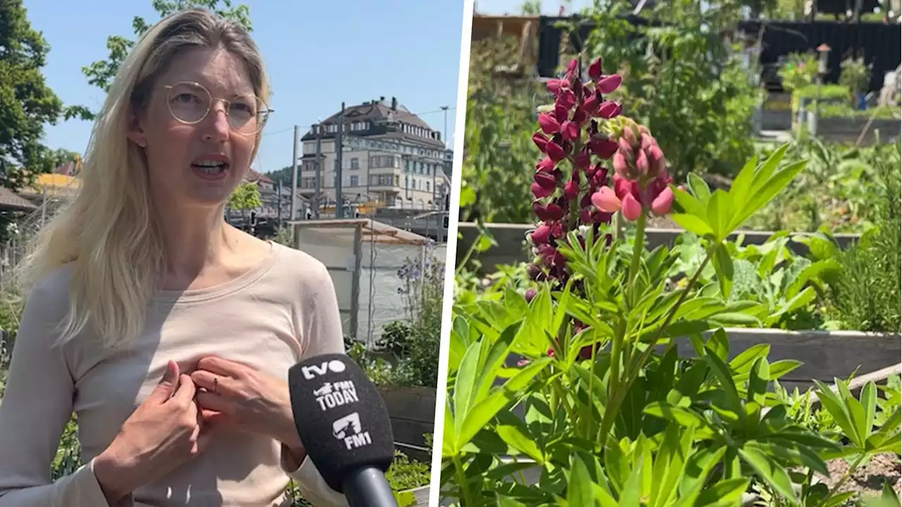 Vom Parkplatz zum Begegnungsort: Projekt Areal Bach trifft Nerv der Zeit