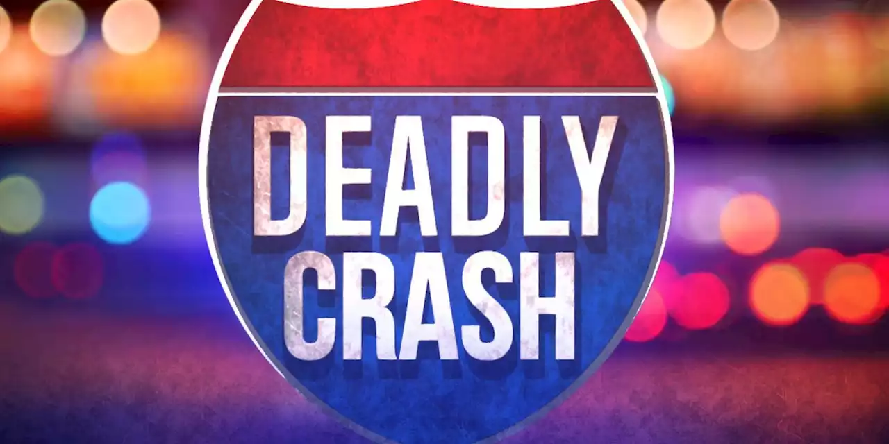 McIntosh man dies in motorcycle crash