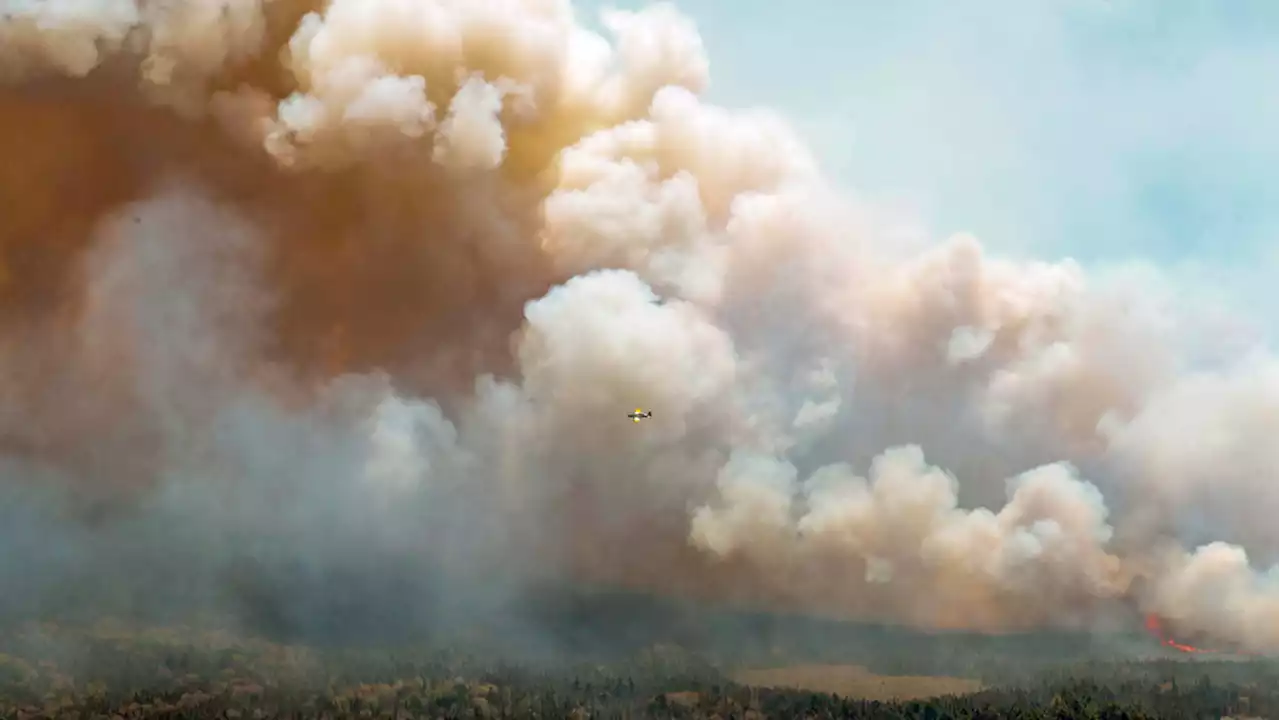 Breathing in wildfire smoke comparable to smoking 3 to 11 cigarettes a day, study notes