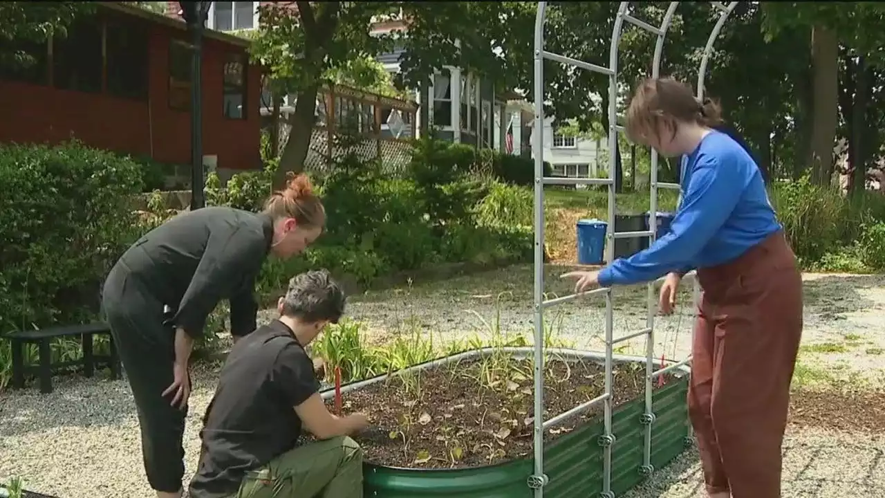 Staten Island queer garden provides space for LGBTQ youth