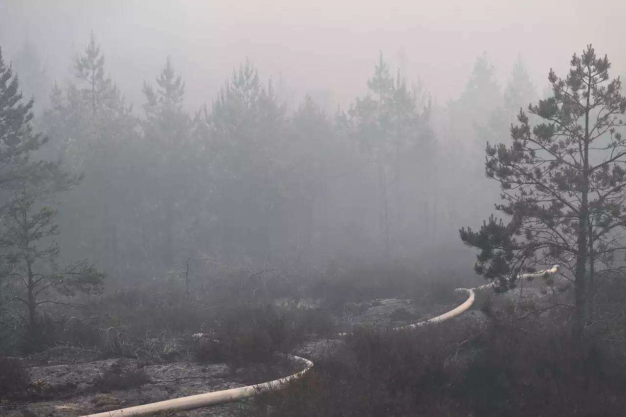 Skogsbrand vid Tolvmanstegen