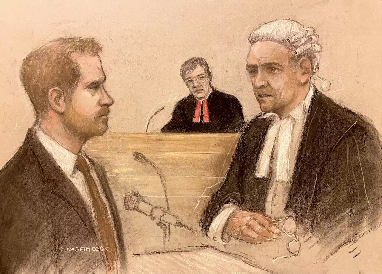 Why Is Prince Harry In Court?