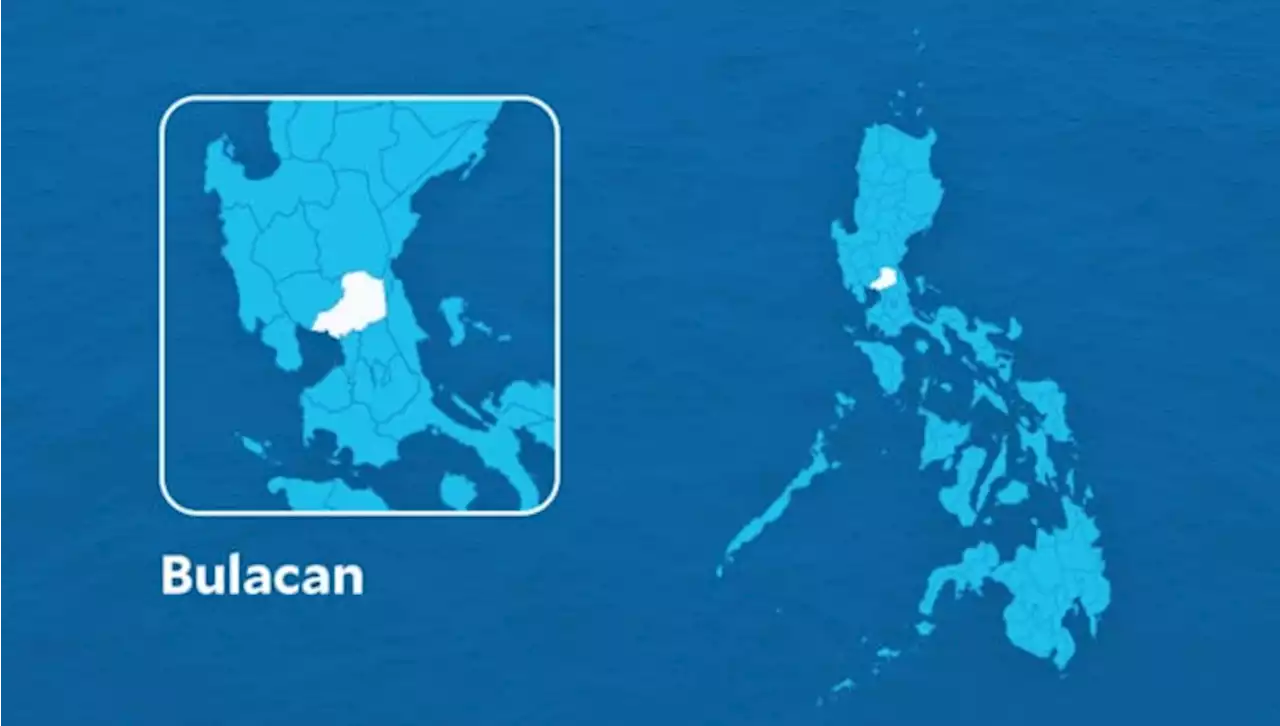 3 Koreans, 2 others dead in Bulacan road crash