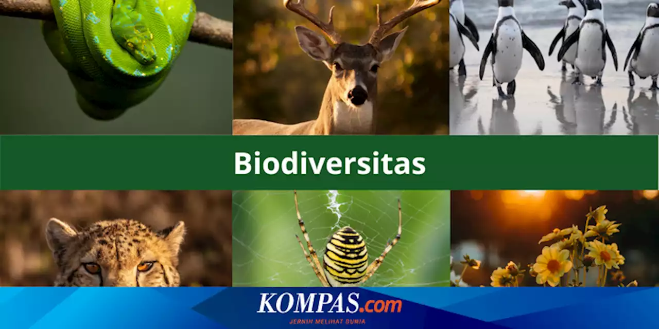 Biodiversitas Nusantara untuk Remediasi Pencemaran Lingkungan