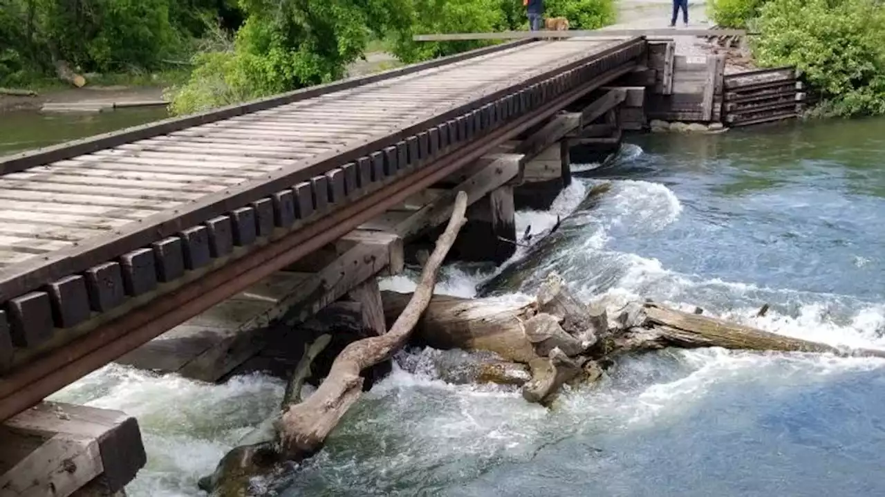 Fast-moving waters, downed trees pose dangerous conditions on Provo River