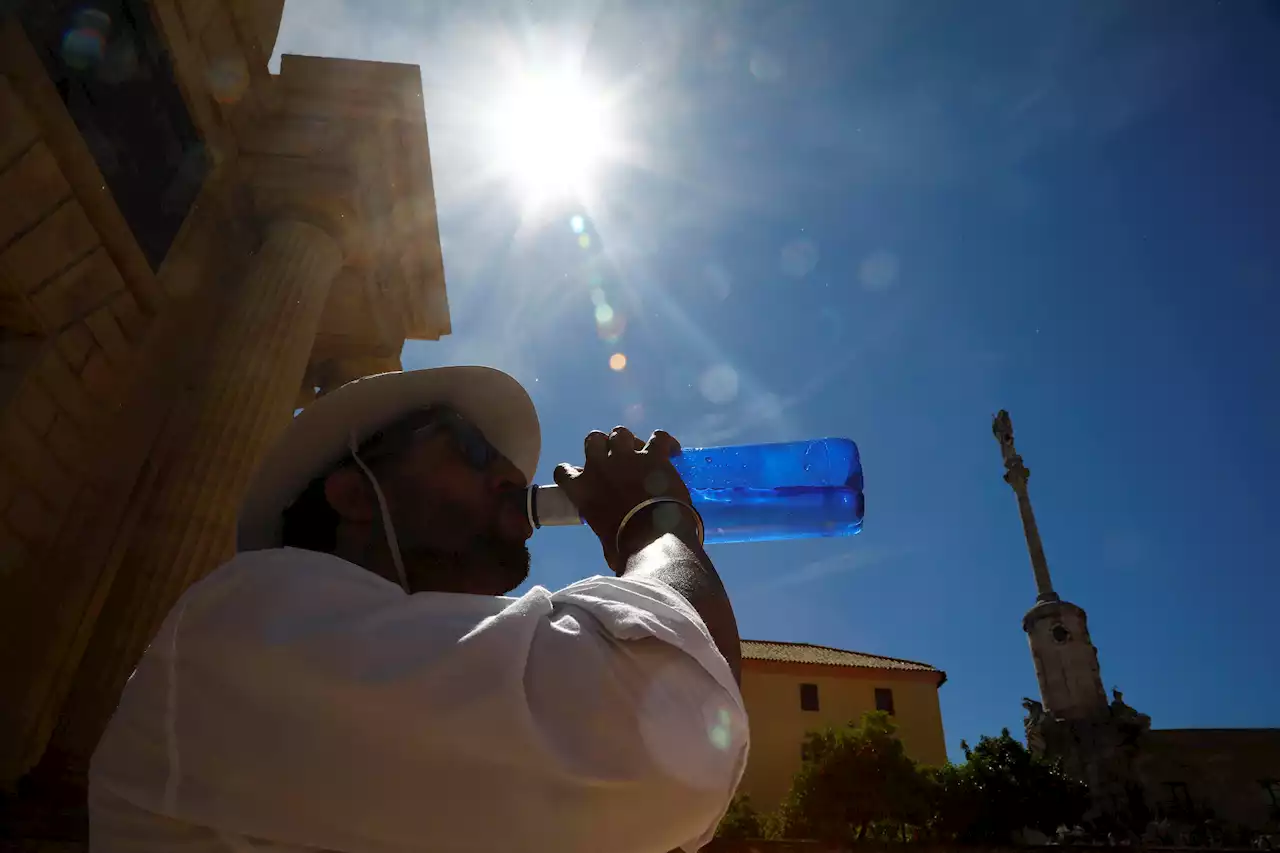 Se acerca el calor de verano: ¿cuándo y dónde aparecerán las temperaturas estivales?