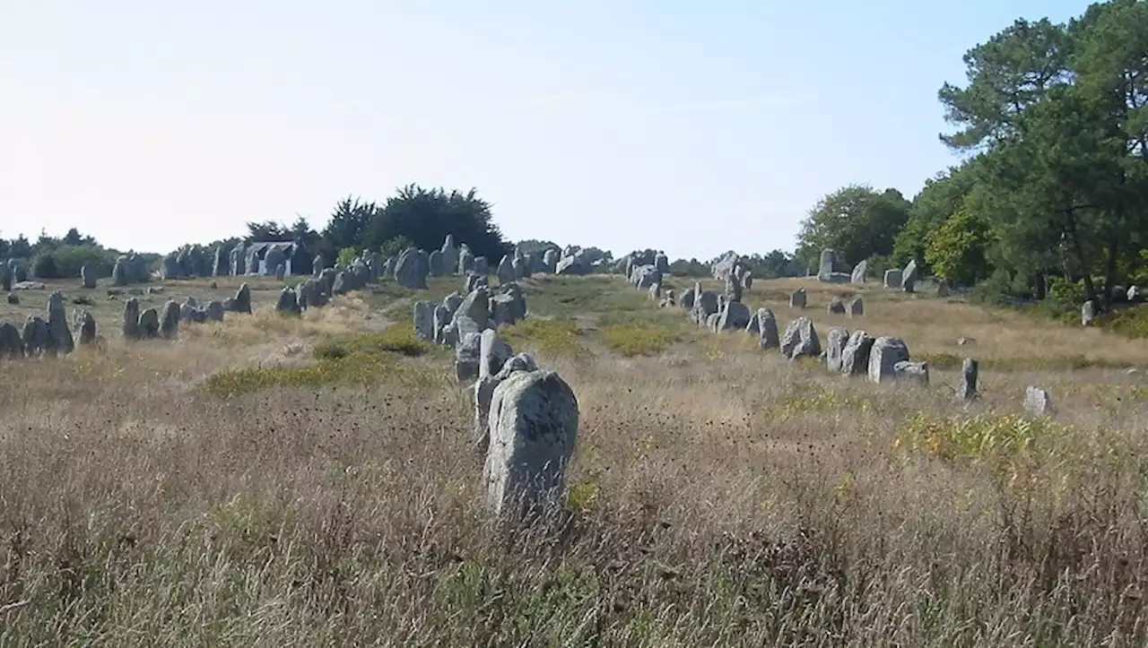 'C’est totalement illégal !'... à Carnac, 39 menhirs détruits sur un site classé, pour construire un magasin Mr Bricolage