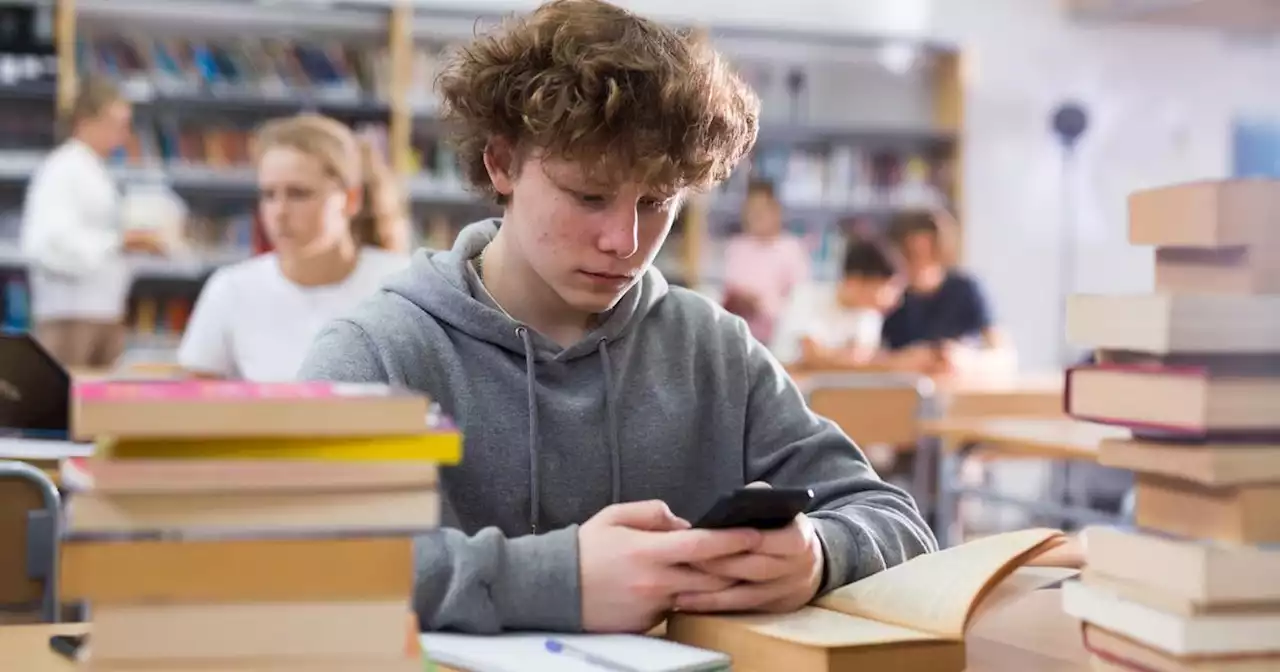 Un jeune Français sur 10 est «en difficulté de lecture», selon l'Éducation nationale