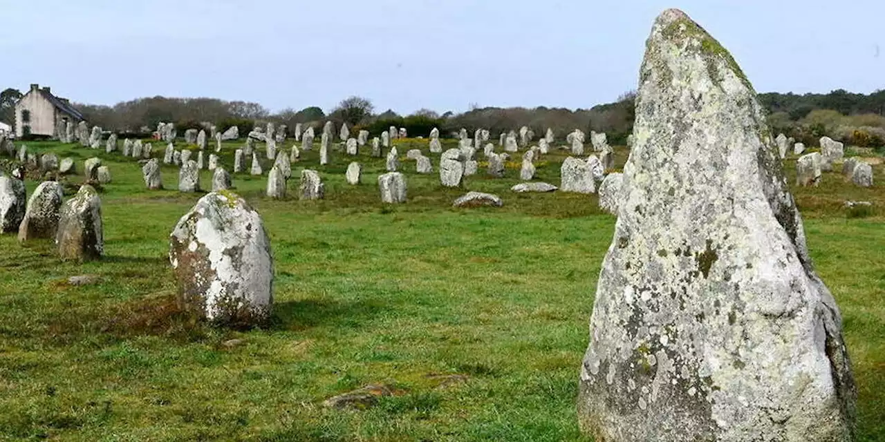 Bretagne : 39 menhirs de Carnac détruits pour construire un magasin de bricolage