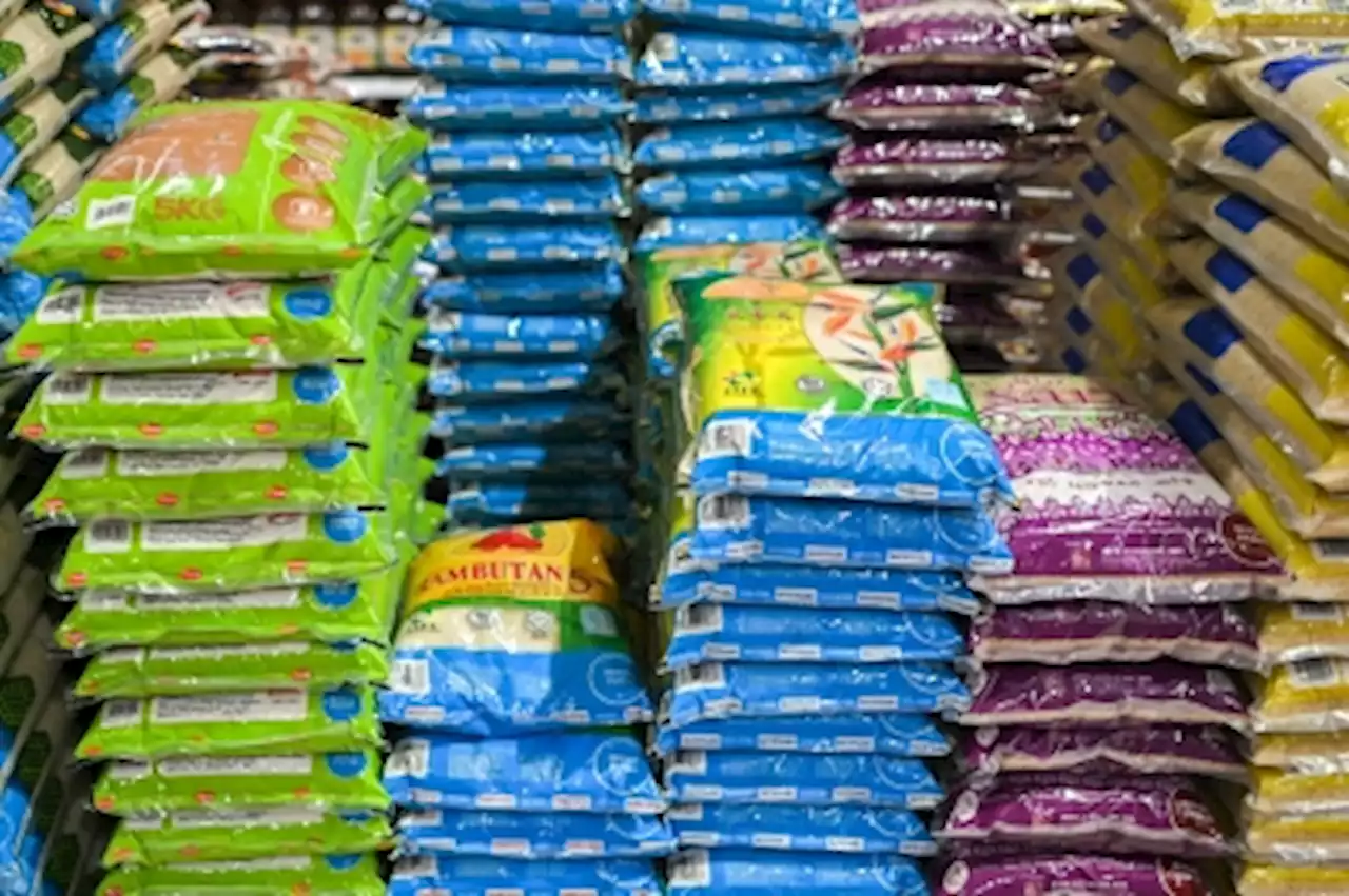 Bernas increases rice imports by 150,000 tonnes to prevent supply disruption, says deputy minister