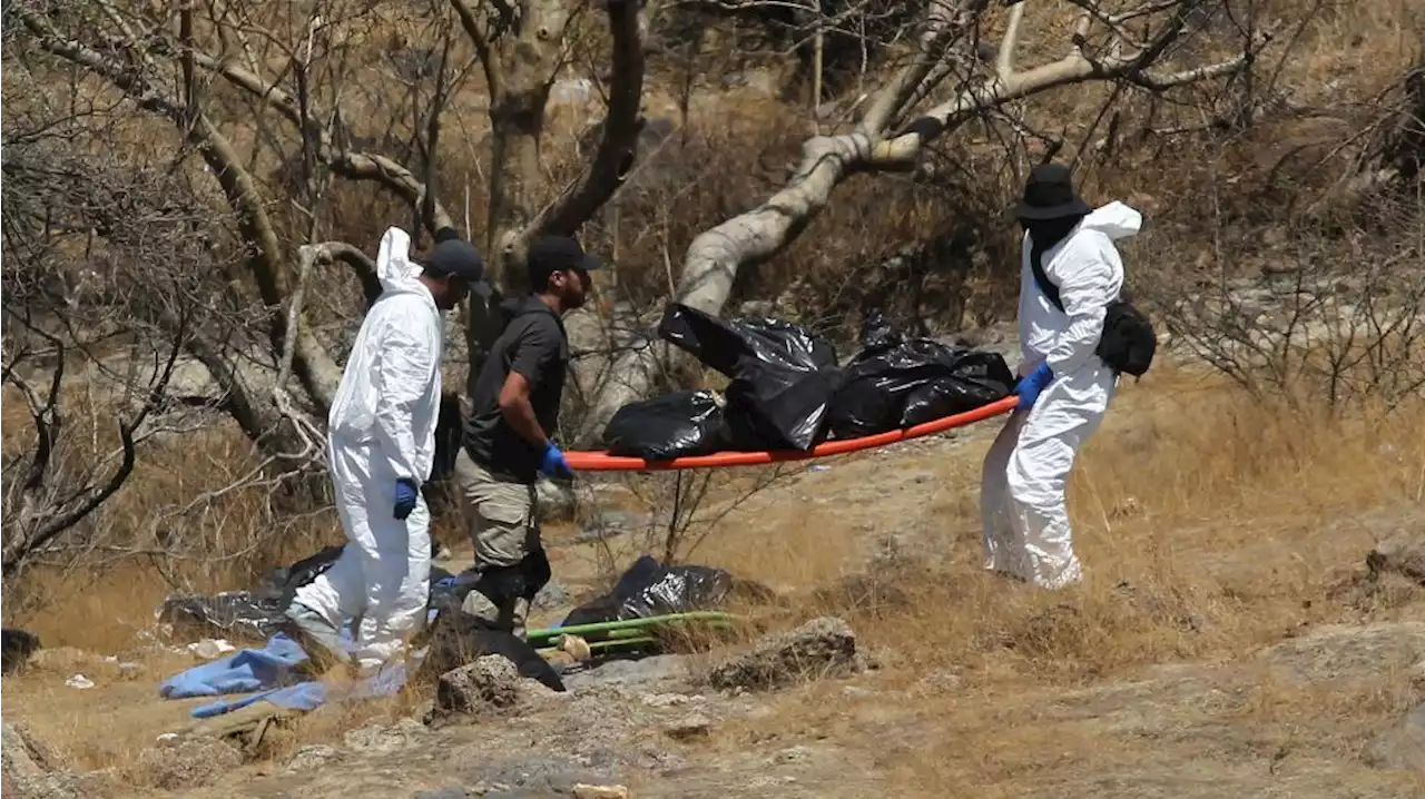 Human remains found in 45 bags are missing call center staff, Mexico confirms