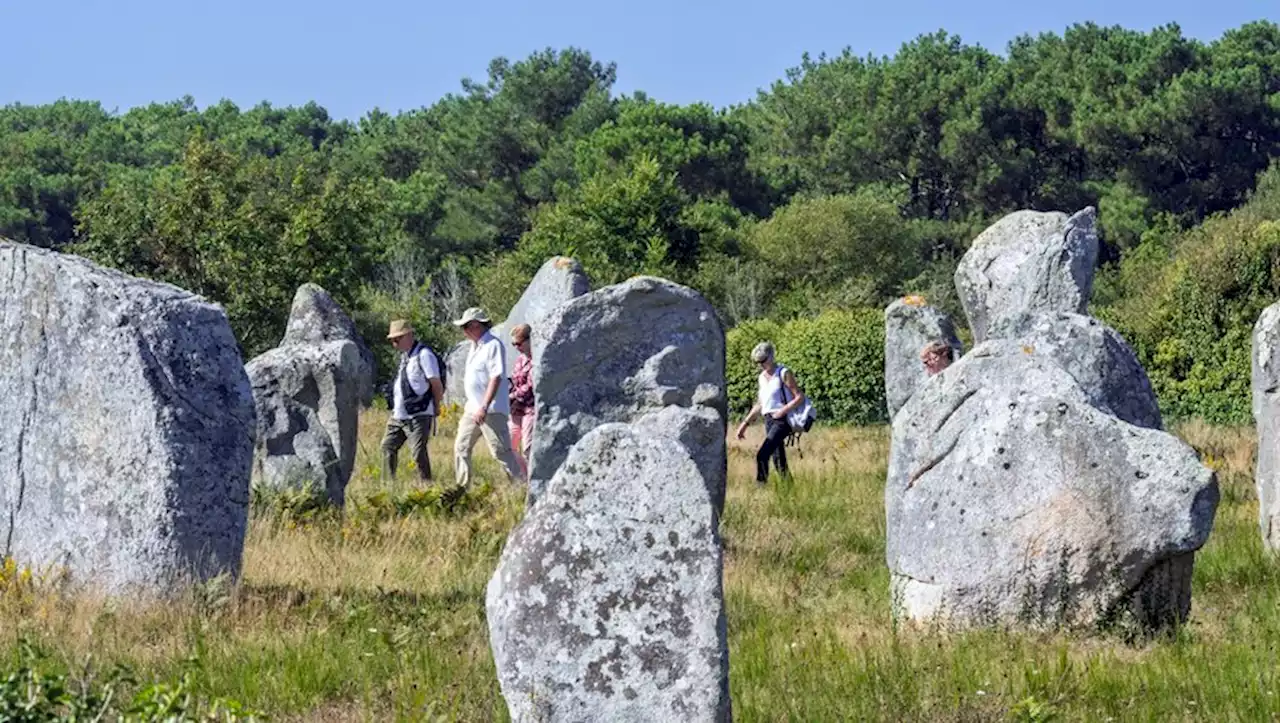 Carnac : la mairie autorise, sans le savoir, la destruction de 39 menhirs pour l'installation d'un magasin Mr Bricolage