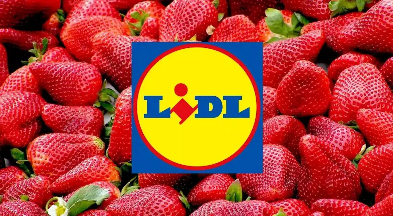 Lidl comunica que seguirá comprando fresas españolas