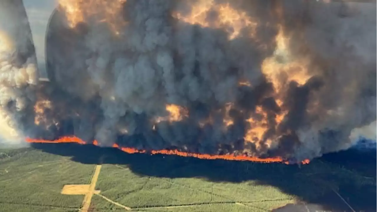 ANALYSIS | Parliament fiddles while Canada burns | CBC News