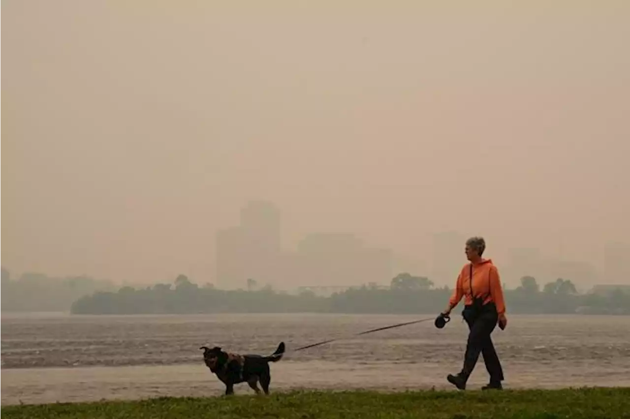 Wildfire smoke blankets Ontario, Quebec, air quality plummets, affects activities | National Newswatch