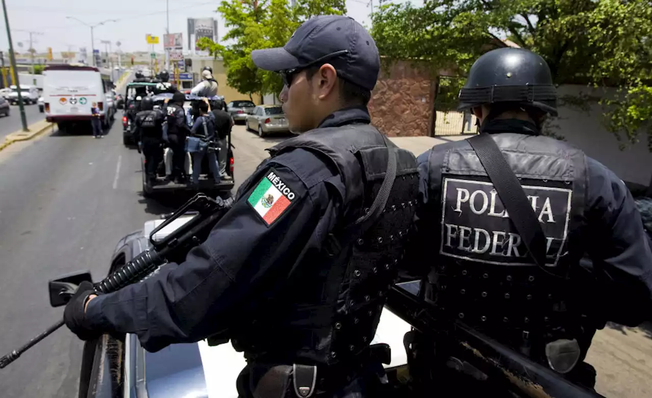 8 workers at Mexican drug cartel call center targeting Americans found dead