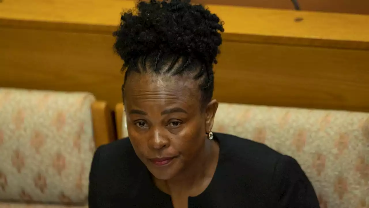 LIVE | EFF guns for Mkhwebane inquiry chair Qubudile Dyantyi | News24